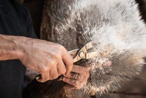 degorgement van Cava